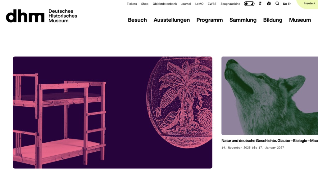 Website des dhm